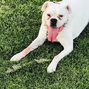 Meet your Posher, Donna